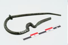 Foto von Bronzeschlangenfibel (NHMW-PRAE-025063)